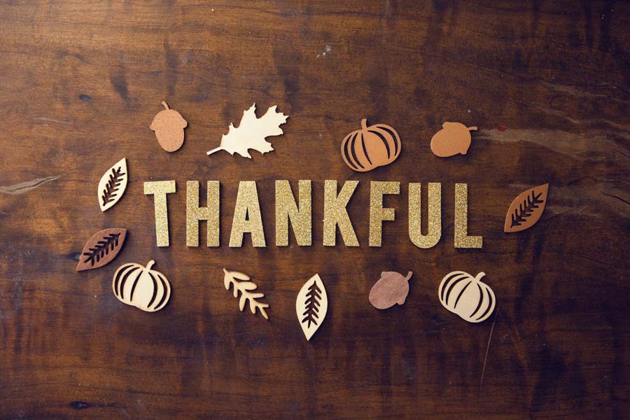 Gratitude — a reflection by Peggy Park