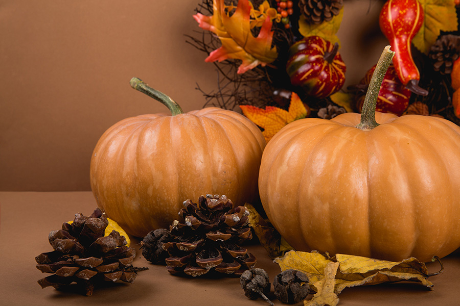 Thankfulness — a reflection by Peggy Park