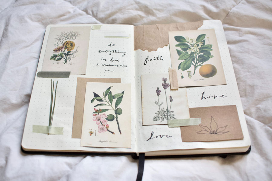 Faith (Part 4)  How Does Faith Work? — a reflection by Peggy Park